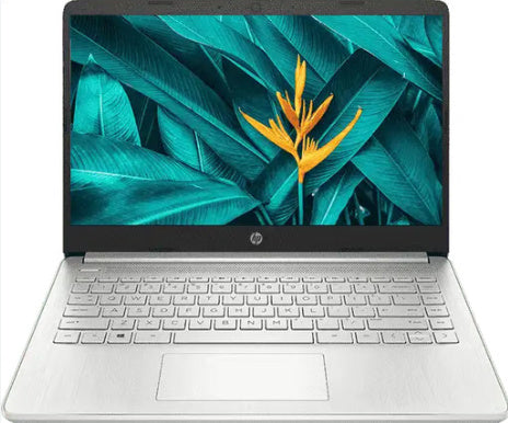 0.74461300 175860423584419506