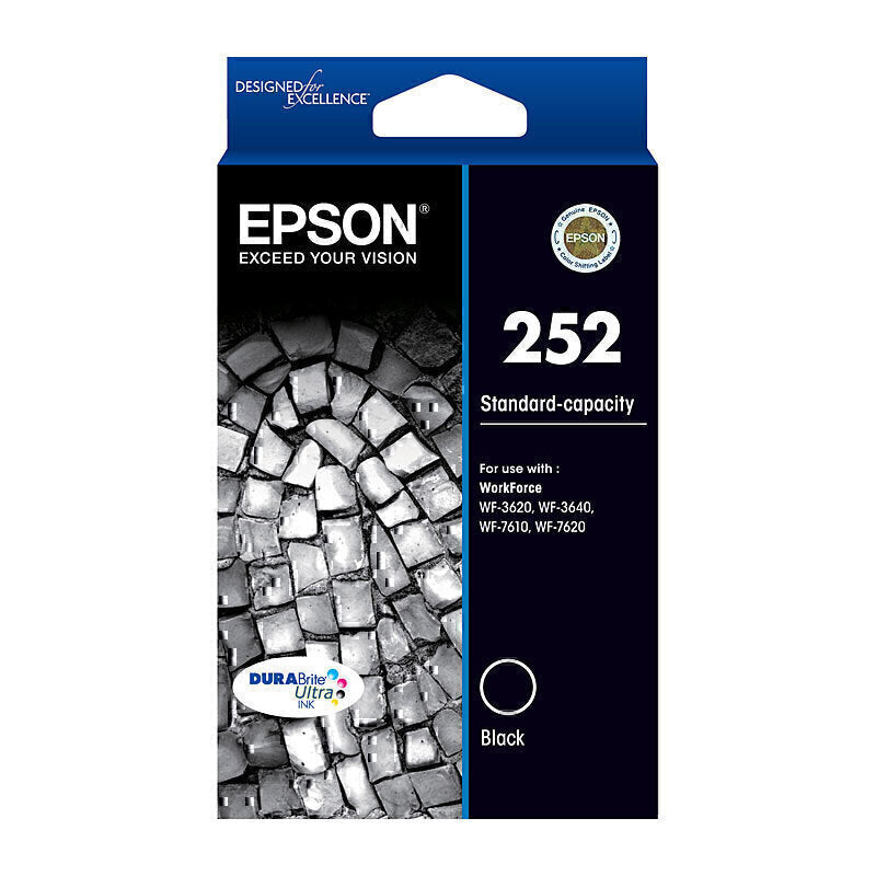 Epson 252 Black Ink