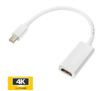 Mini Display Port to HDMI Adapter
